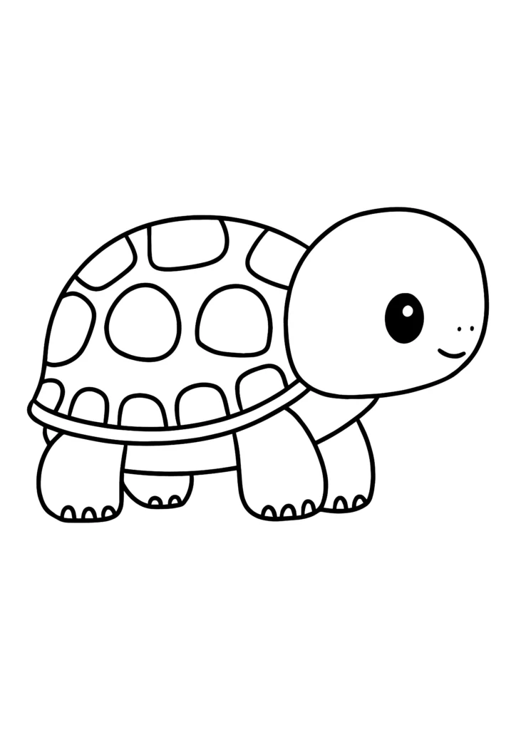 turtle coloring pages