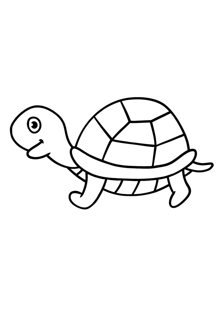  turtle coloring pages