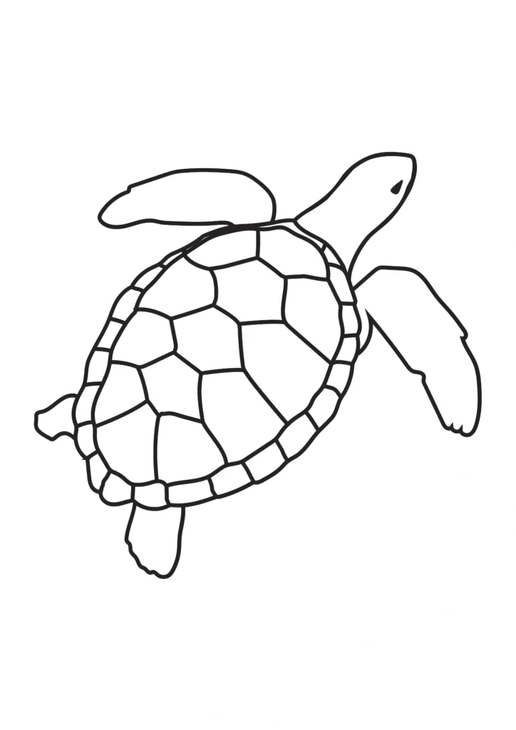  turtle coloring pages