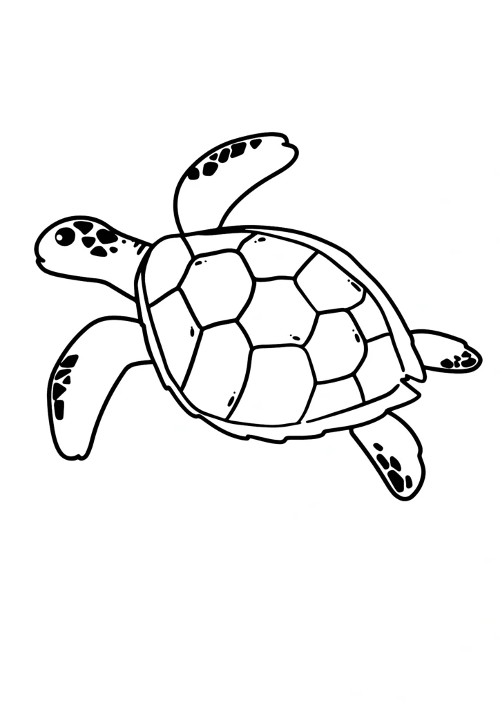  turtle coloring pages