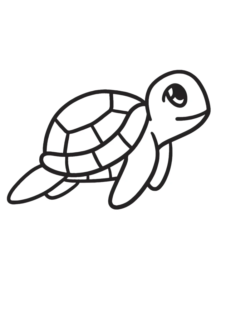  turtle coloring pages