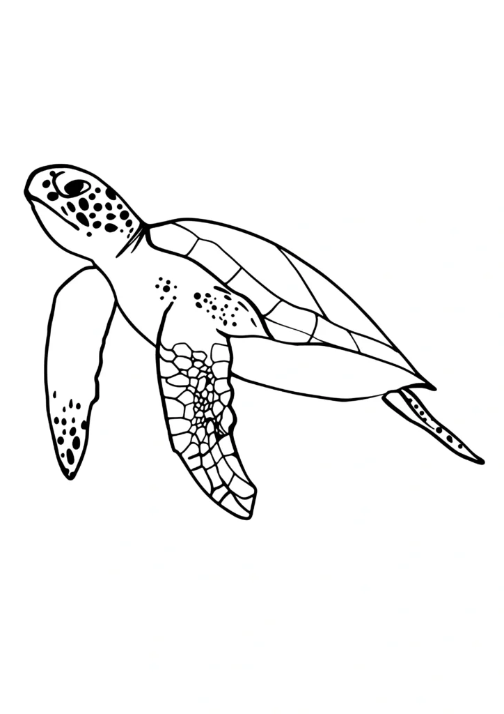  turtle coloring pages