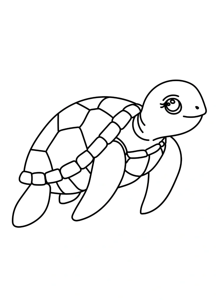  turtle coloring pages