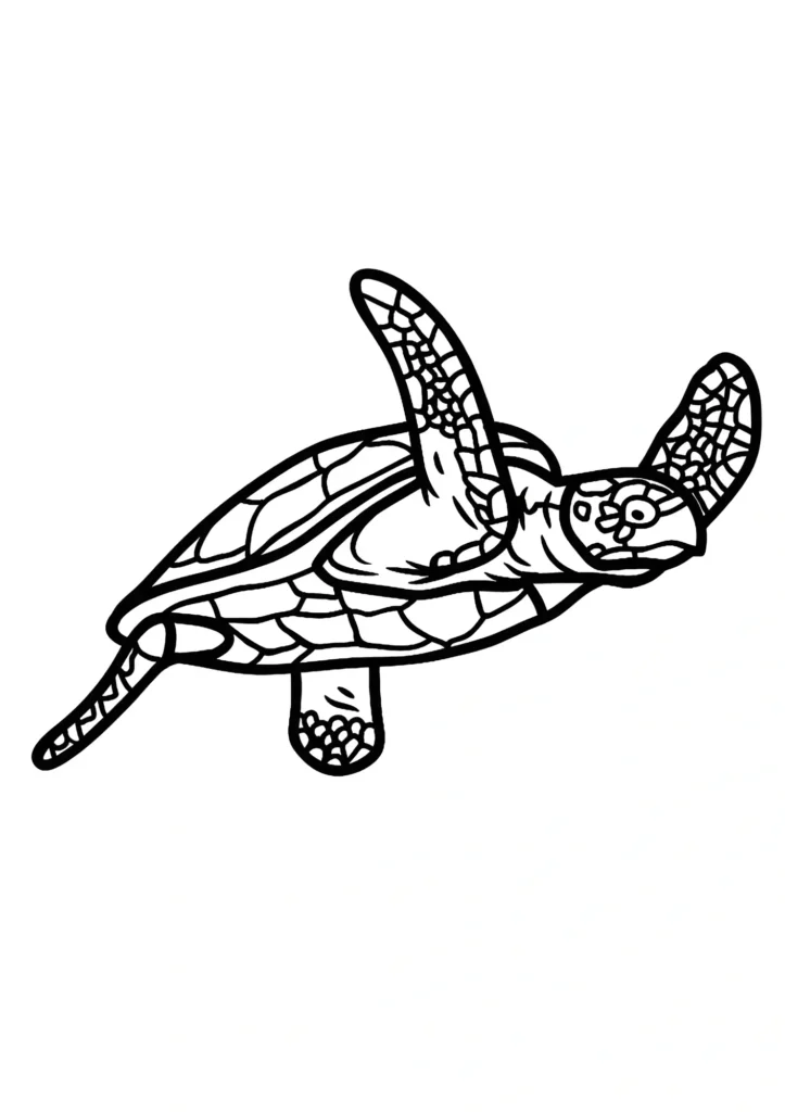  turtle coloring pages