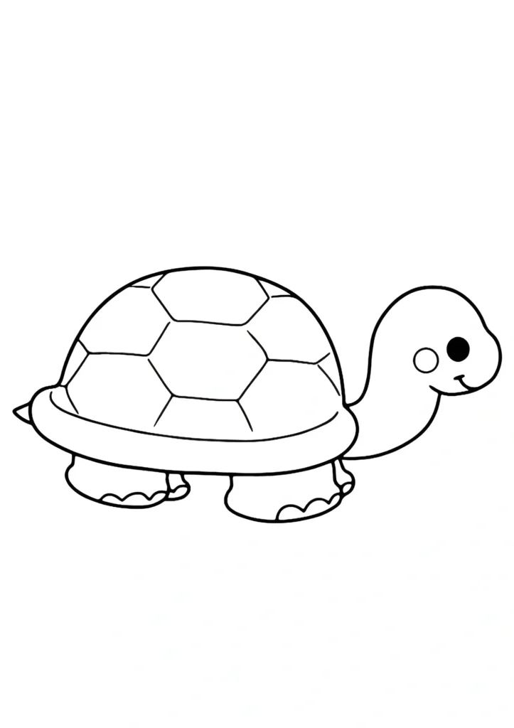  turtle coloring pages