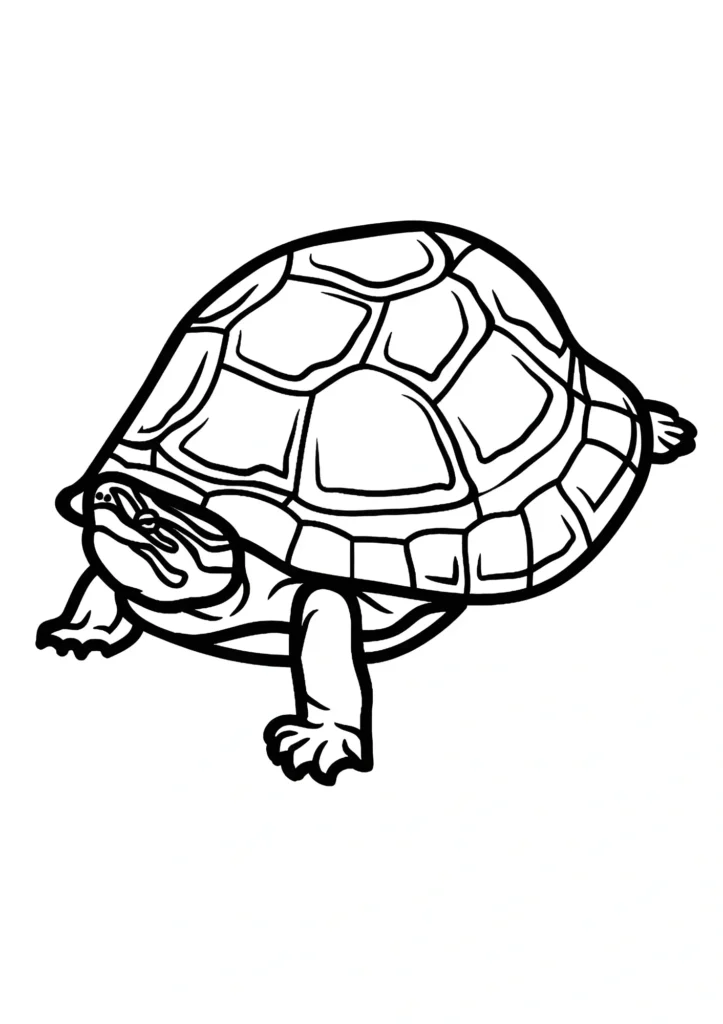  turtle coloring pages