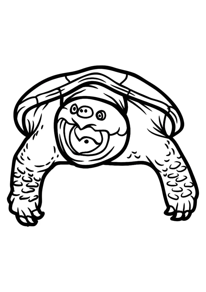  turtle coloring pages