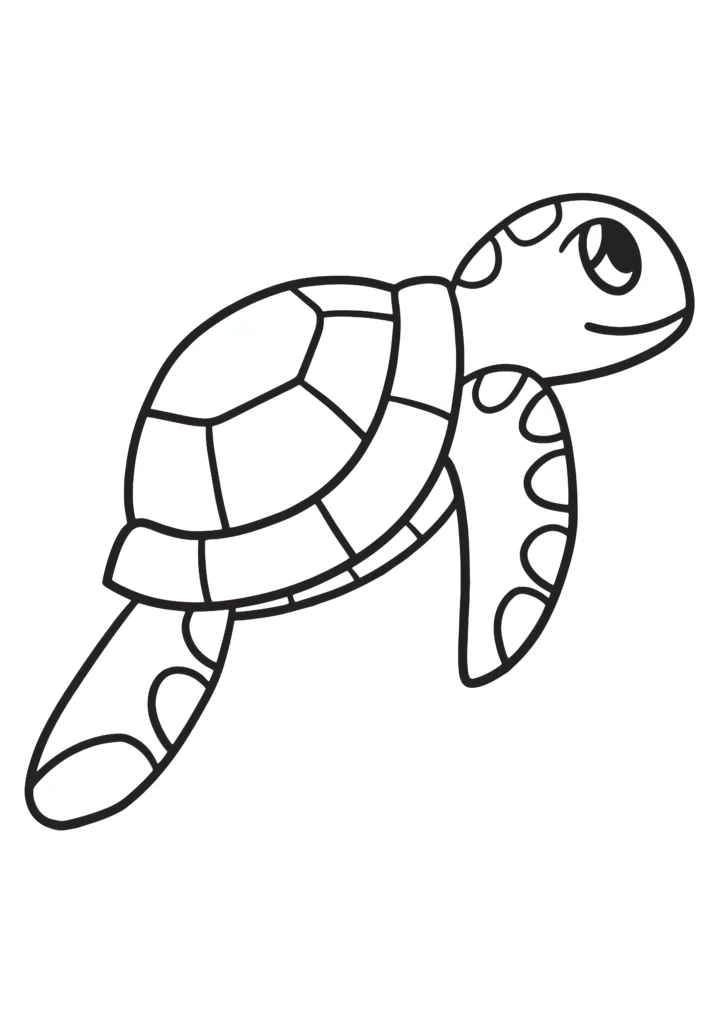  turtle coloring pages