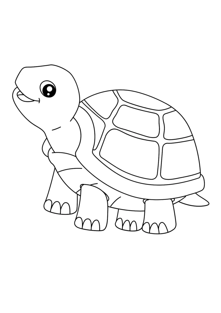  turtle coloring pages