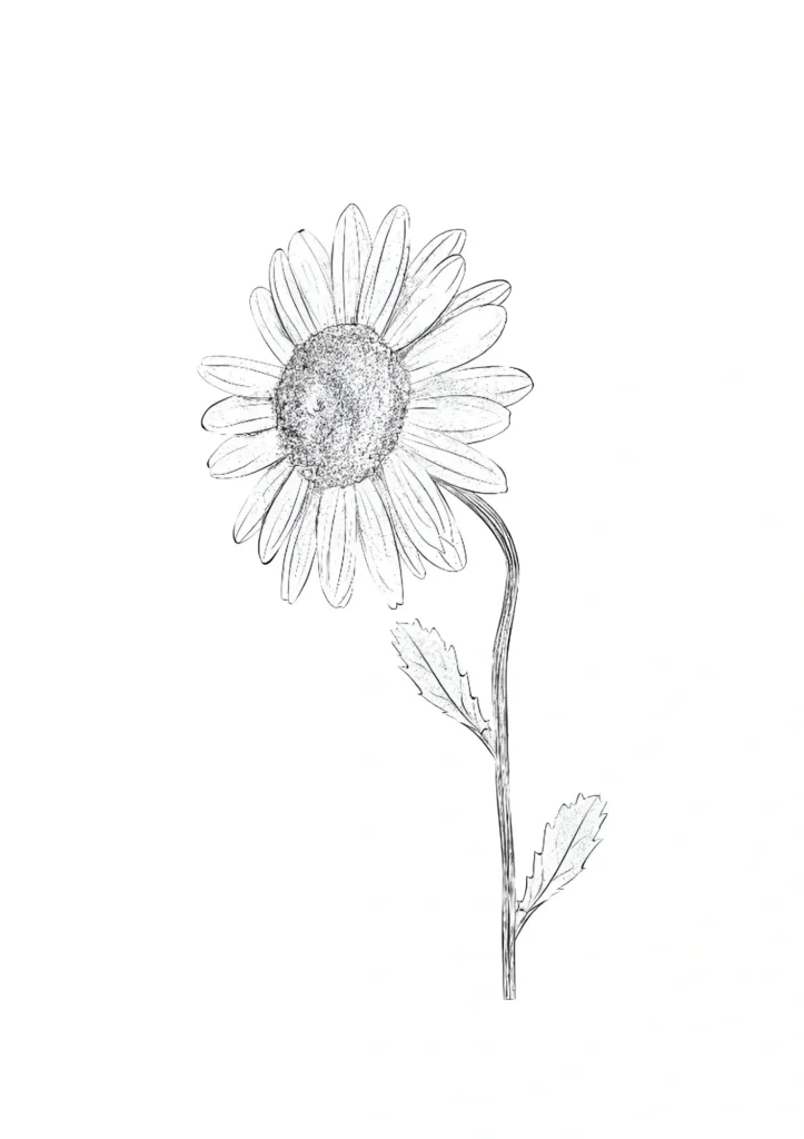  Sunflower Coloring Pages