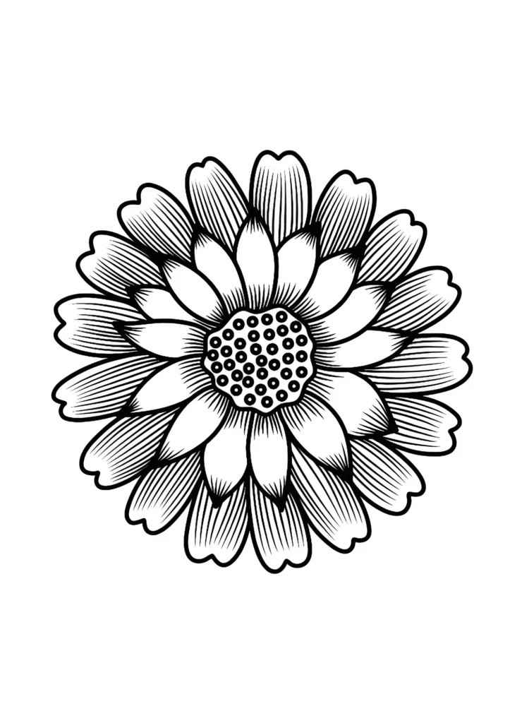  Sunflower Coloring Pages