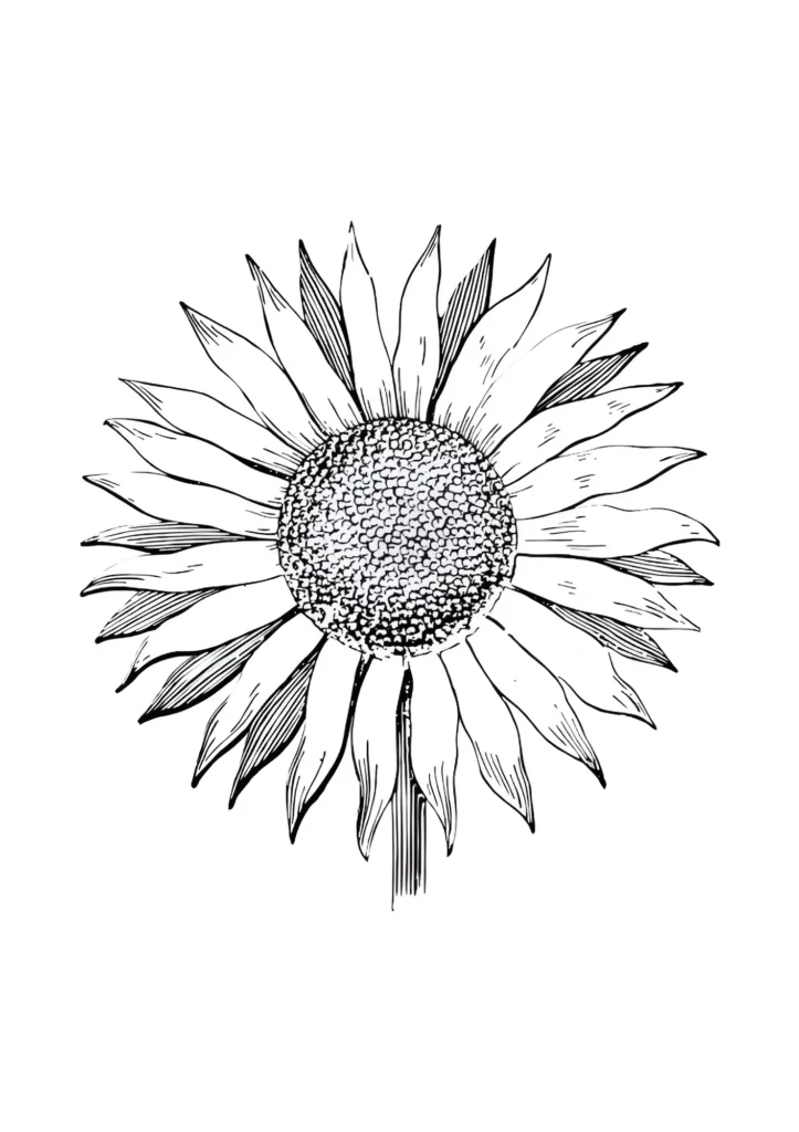  Sunflower Coloring Pages