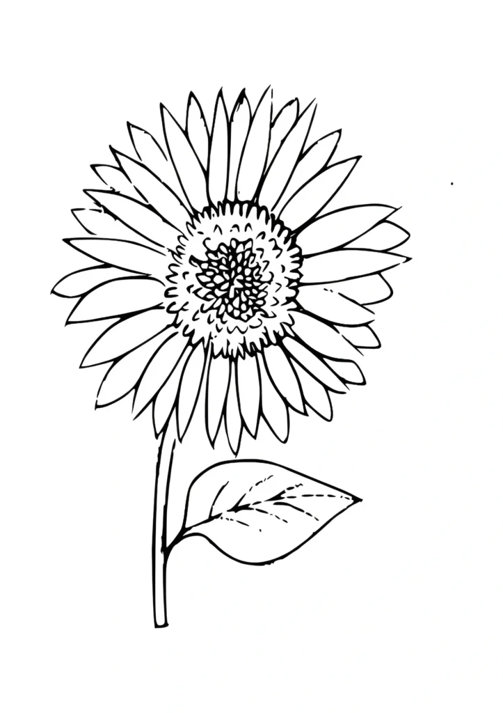  Sunflower Coloring Pages