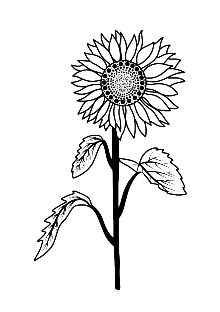  Sunflower Coloring Pages