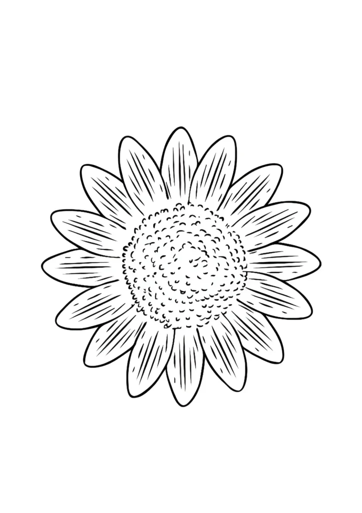  Sunflower Coloring Pages