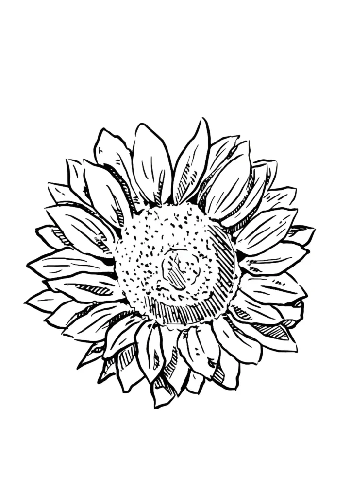  Sunflower Coloring Pages