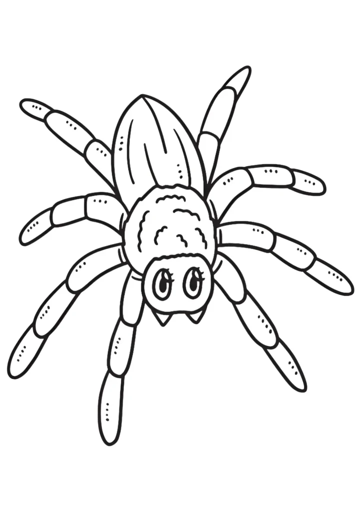 Spider Coloring Pages