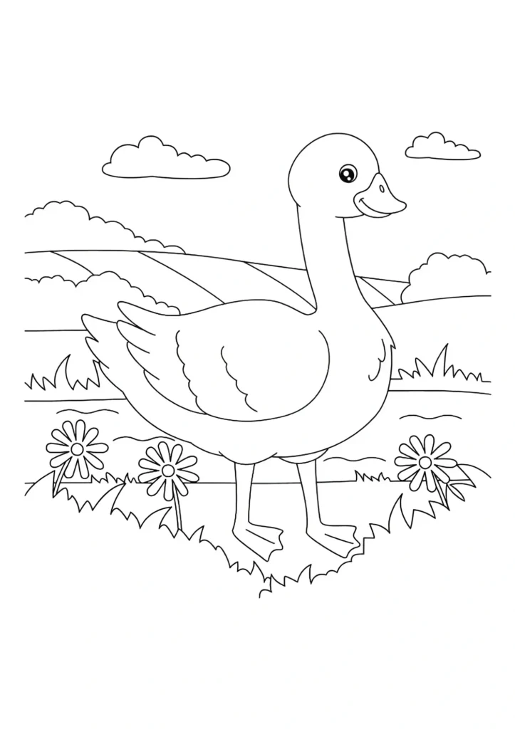 Duck Coloring Pages