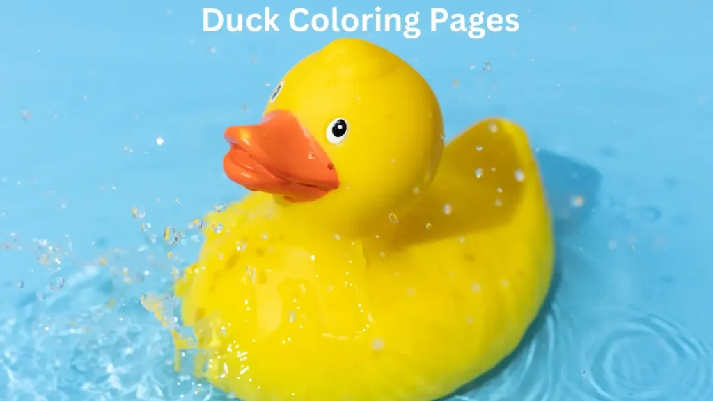 Duck Coloring Pages