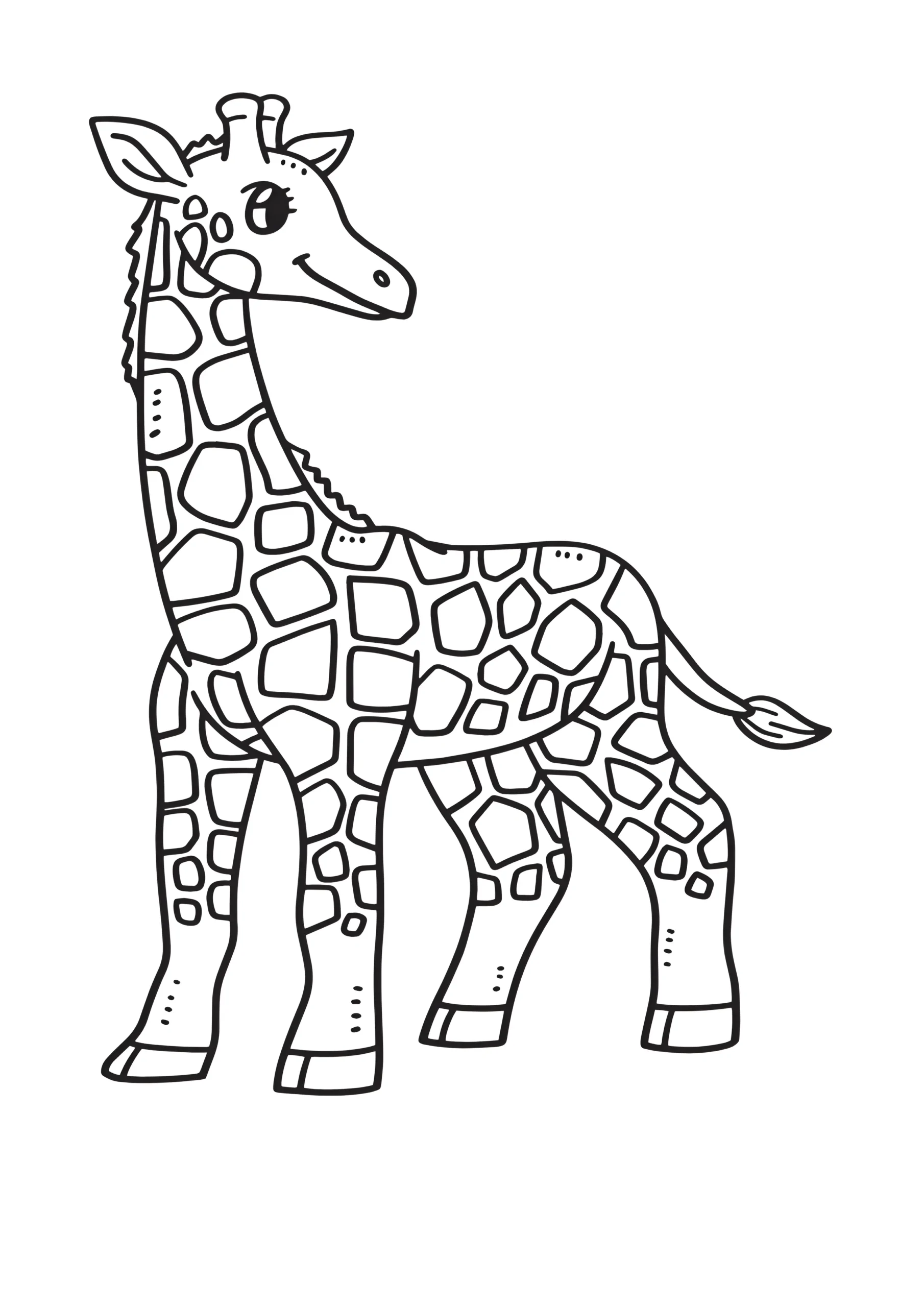 Animal Coloring Pages