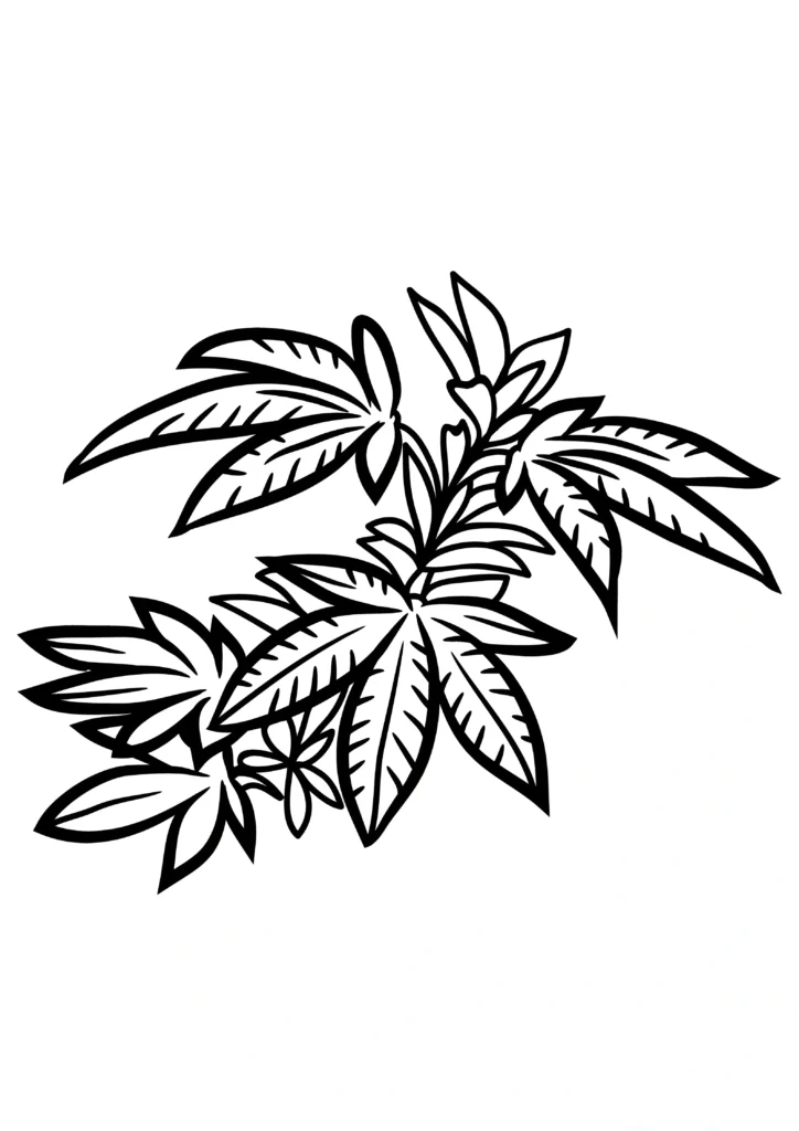 Weed Coloring Pages